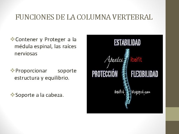 FUNCIONES DE LA COLUMNA VERTEBRAL v. Contener y Proteger a la médula espinal, las