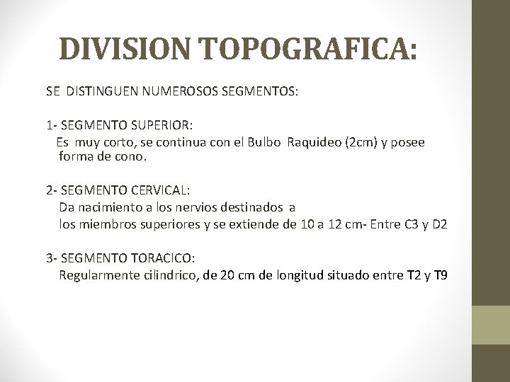 DIVISION TOPOGRAFICA: SE DISTINGUEN NUMEROSOS SEGMENTOS: 1 - SEGMENTO SUPERIOR: Es muy corto, se