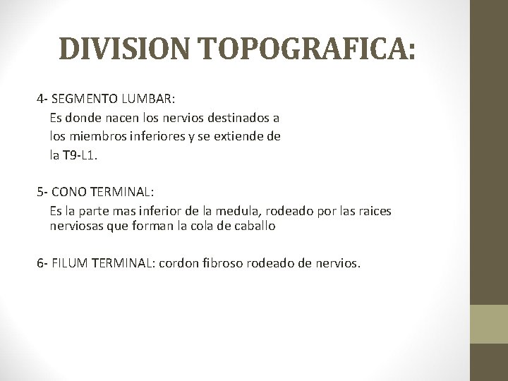 DIVISION TOPOGRAFICA: 4 - SEGMENTO LUMBAR: Es donde nacen los nervios destinados a los