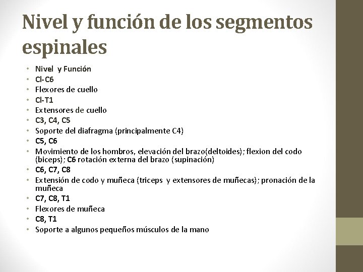 Nivel y función de los segmentos espinales • • • • Nivel y Función