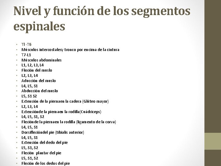 Nivel y función de los segmentos espinales • • • • • • Tl