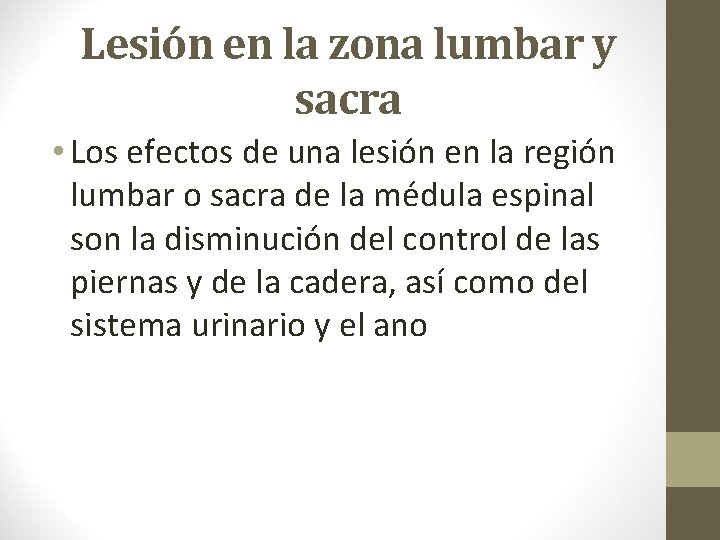 Lesión en la zona lumbar y sacra • Los efectos de una lesión en