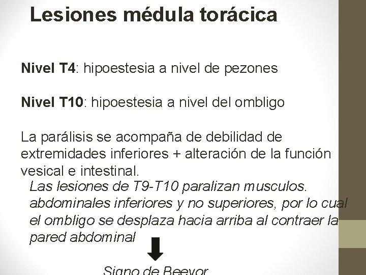 Lesiones médula torácica Nivel T 4: hipoestesia a nivel de pezones Nivel T 10:
