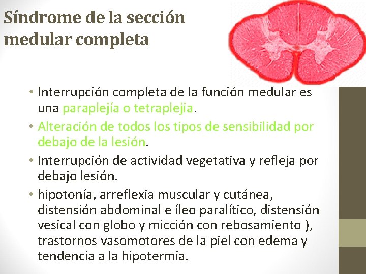 Síndrome de la sección medular completa • Interrupción completa de la función medular es