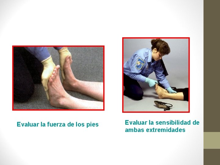 Evaluar la fuerza de los pies Evaluar la sensibilidad de ambas extremidades 