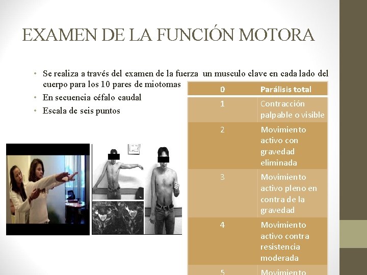 EXAMEN DE LA FUNCIÓN MOTORA • Se realiza a través del examen de la