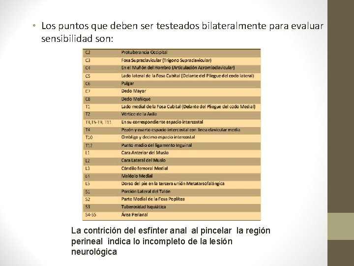  • Los puntos que deben ser testeados bilateralmente para evaluar sensibilidad son: La