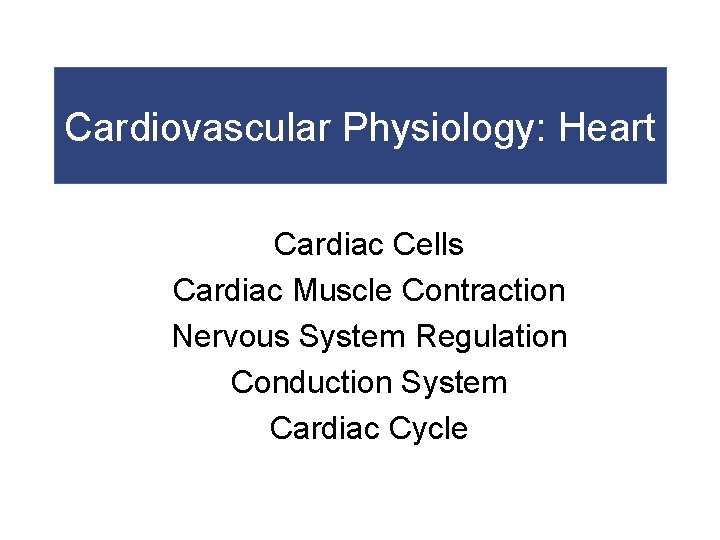 Cardiovascular Physiology: Heart Cardiac Cells Cardiac Muscle Contraction Nervous System Regulation Conduction System Cardiac