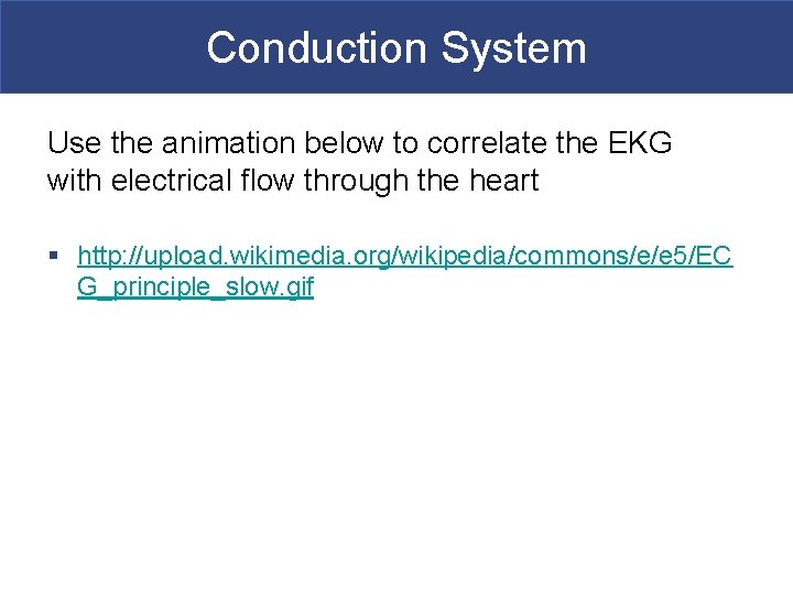 Conduction System Use the animation below to correlate the EKG with electrical flow through