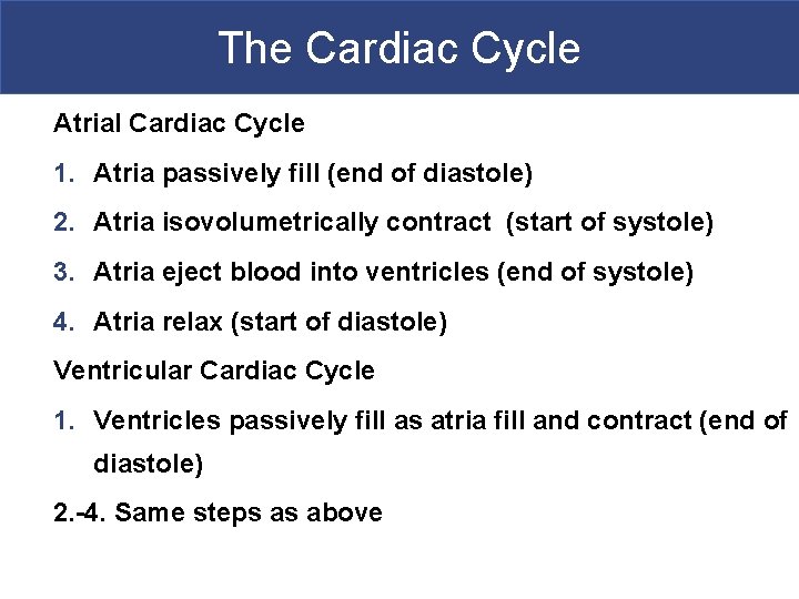 The Cardiac Cycle Atrial Cardiac Cycle 1. Atria passively fill (end of diastole) 2.