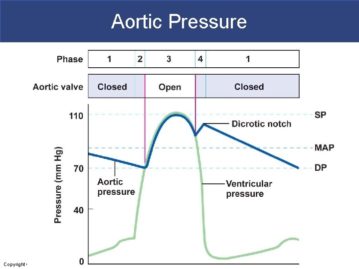 Aortic Pressure Copyright © 2011 Pearson Education, Inc. 