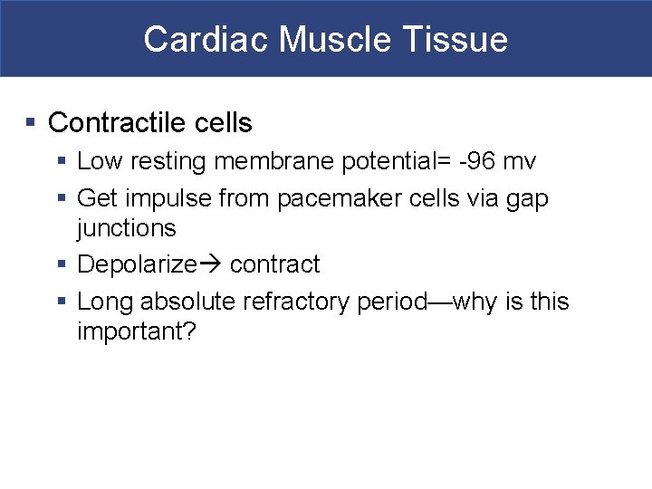 Cardiac Muscle Tissue § Contractile cells § Low resting membrane potential= -96 mv §