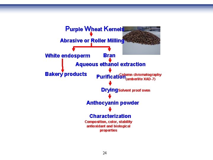 Purple Wheat Kernels Abrasive or Roller Milling White endosperm Bran Aqueous ethanol extraction Bakery