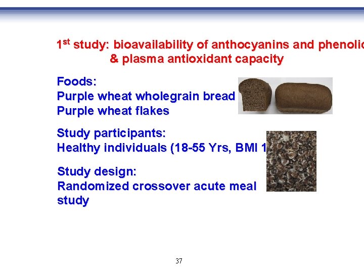 1 st study: bioavailability of anthocyanins and phenolic & plasma antioxidant capacity Foods: Purple