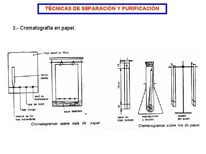 TÉCNICAS DE SEPARACIÓN Y PURIFICACIÓN 3. - Cromatografía en papel. 