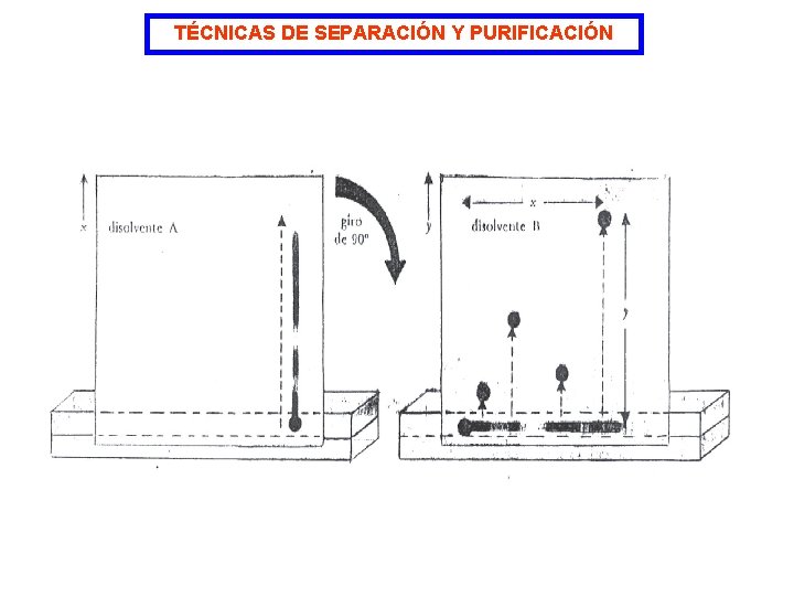 TÉCNICAS DE SEPARACIÓN Y PURIFICACIÓN 