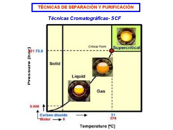 TÉCNICAS DE SEPARACIÓN Y PURIFICACIÓN Técnicas Cromatográficas- SCF 