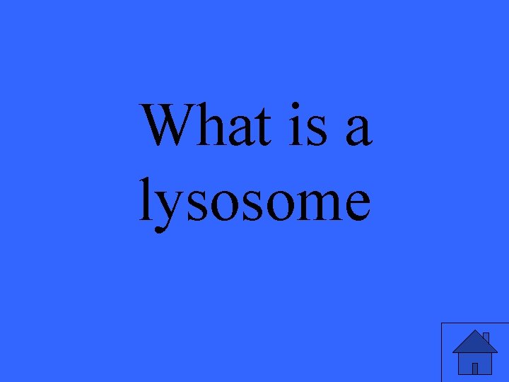 What is a lysosome 