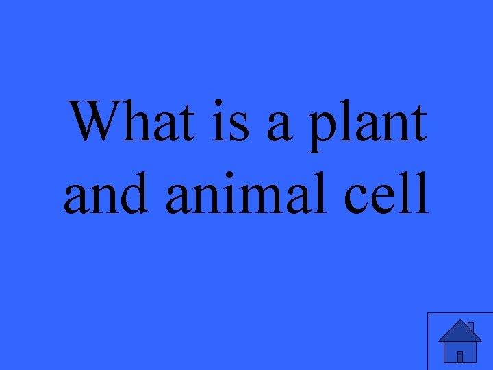 What is a plant and animal cell 