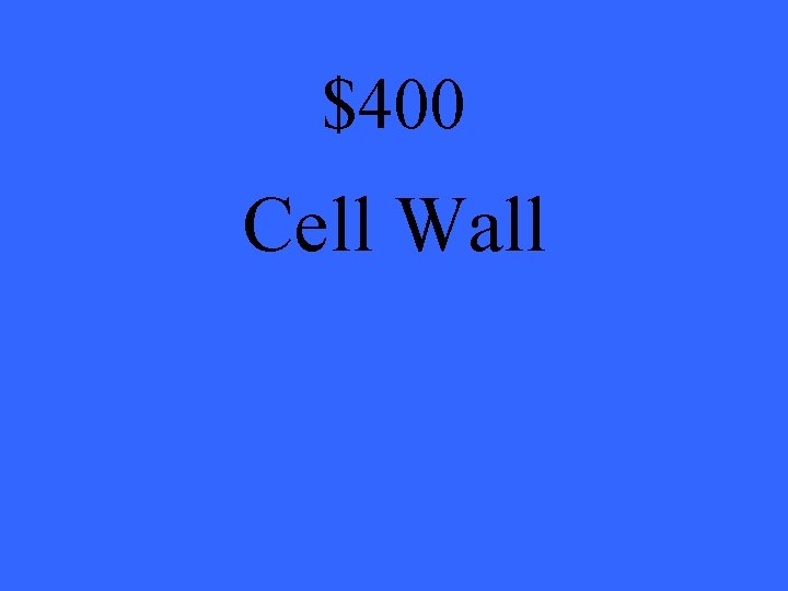 $400 Cell Wall 