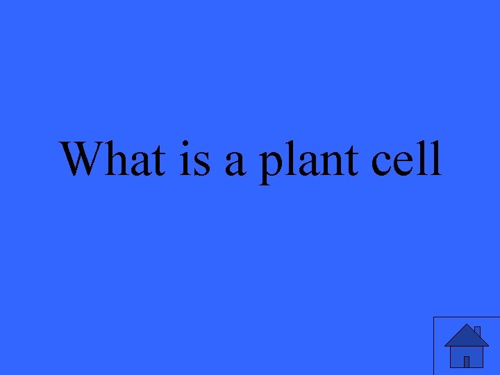 What is a plant cell 