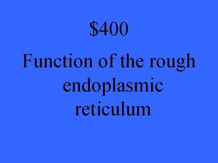 $400 Function of the rough endoplasmic reticulum 