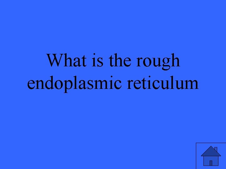 What is the rough endoplasmic reticulum 