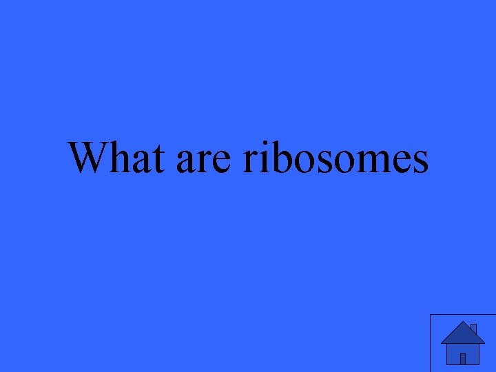 What are ribosomes 
