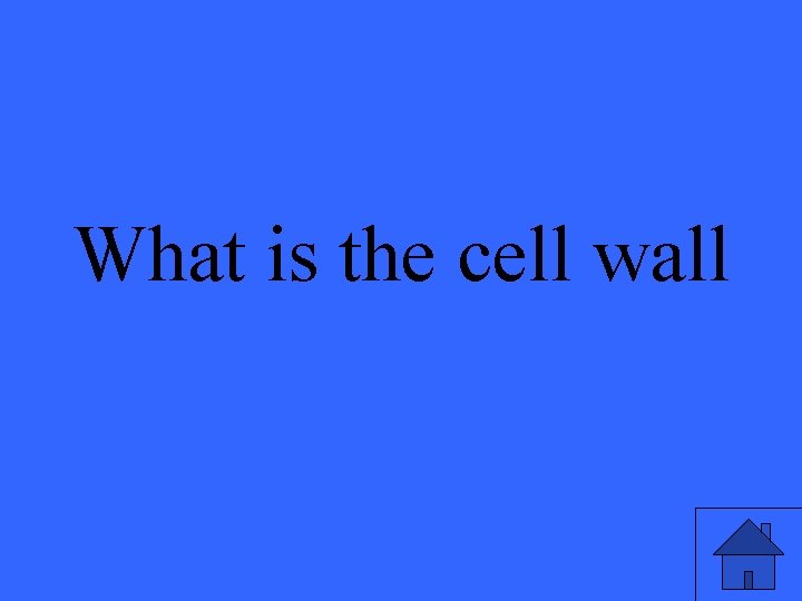 What is the cell wall 