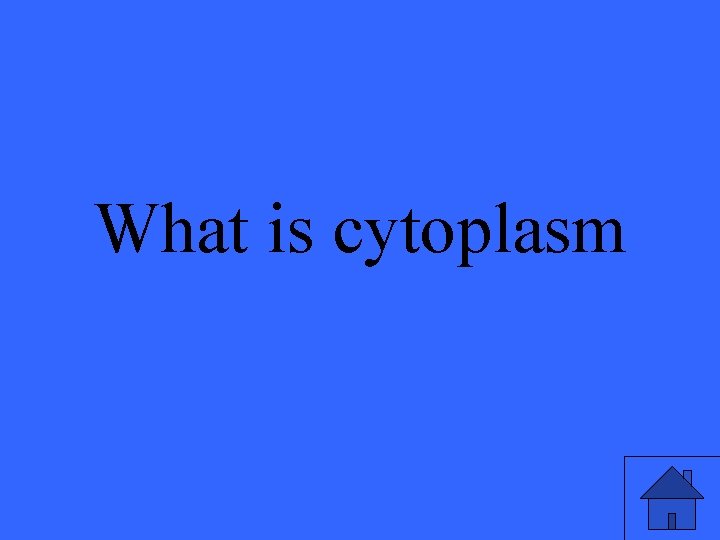 What is cytoplasm 