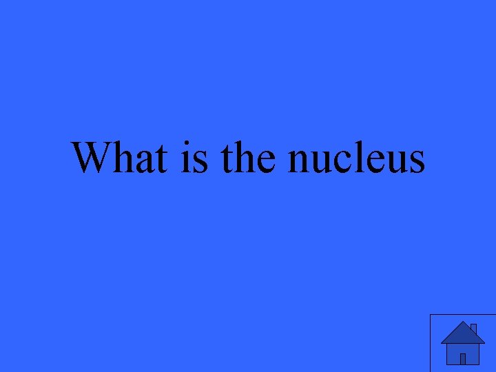 What is the nucleus 