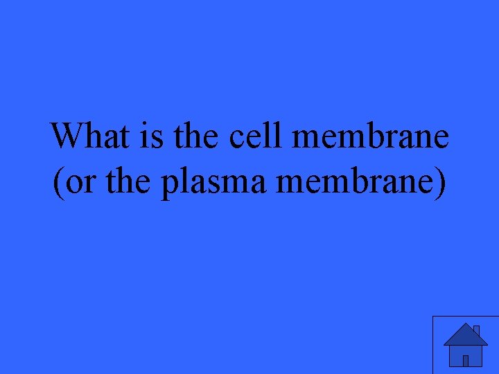 What is the cell membrane (or the plasma membrane) 