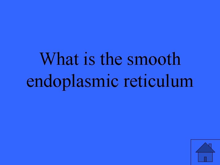 What is the smooth endoplasmic reticulum 