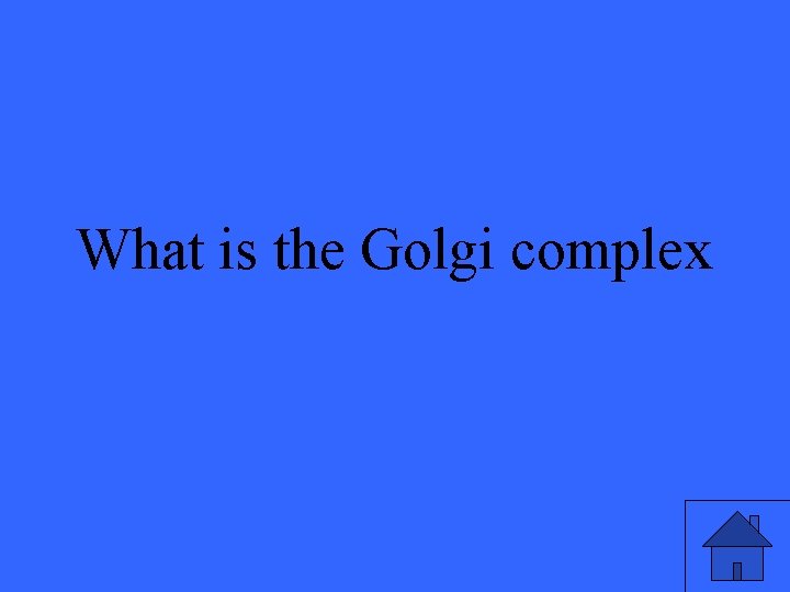 What is the Golgi complex 