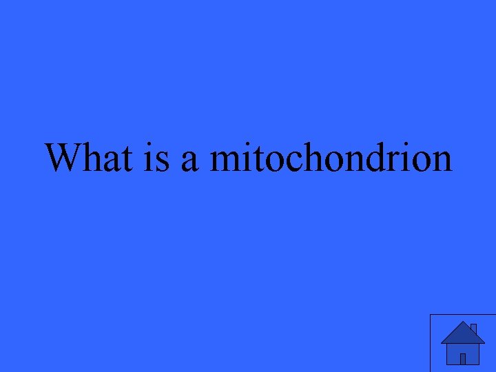 What is a mitochondrion 