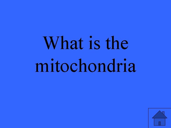 What is the mitochondria 