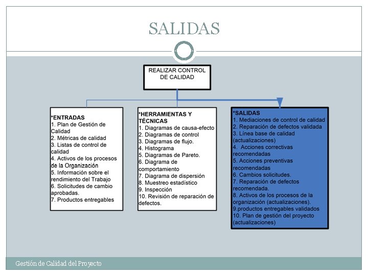 SALIDAS Gestión de Calidad del Proyecto 