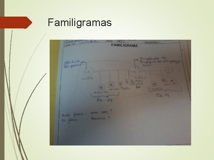 Familigramas 