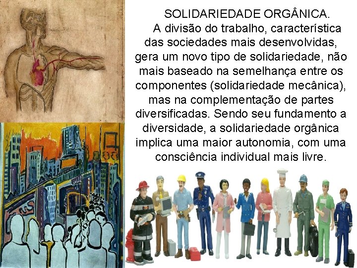 SOLIDARIEDADE ORG NICA. A divisão do trabalho, característica das sociedades mais desenvolvidas, gera um