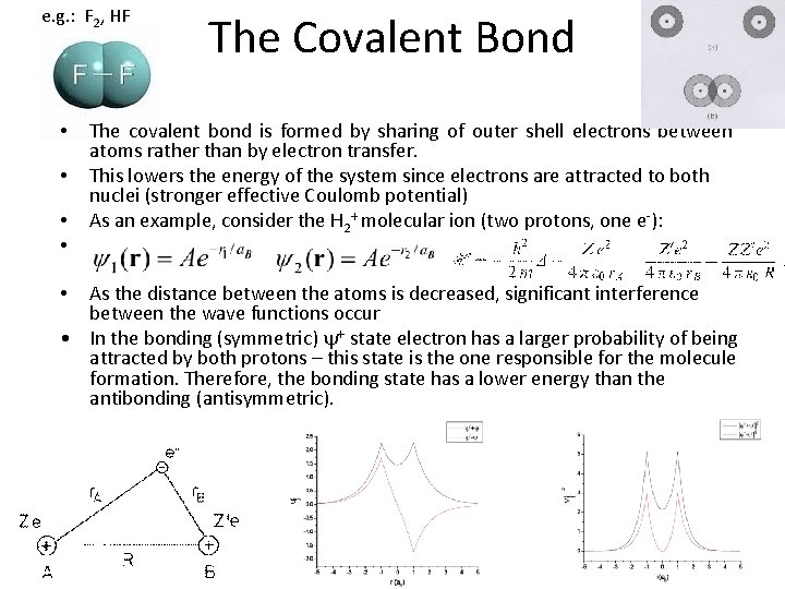 e. g. : F 2, HF • • The Covalent Bond The covalent bond