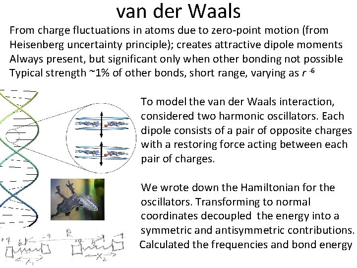 van der Waals From charge fluctuations in atoms due to zero-point motion (from Heisenberg
