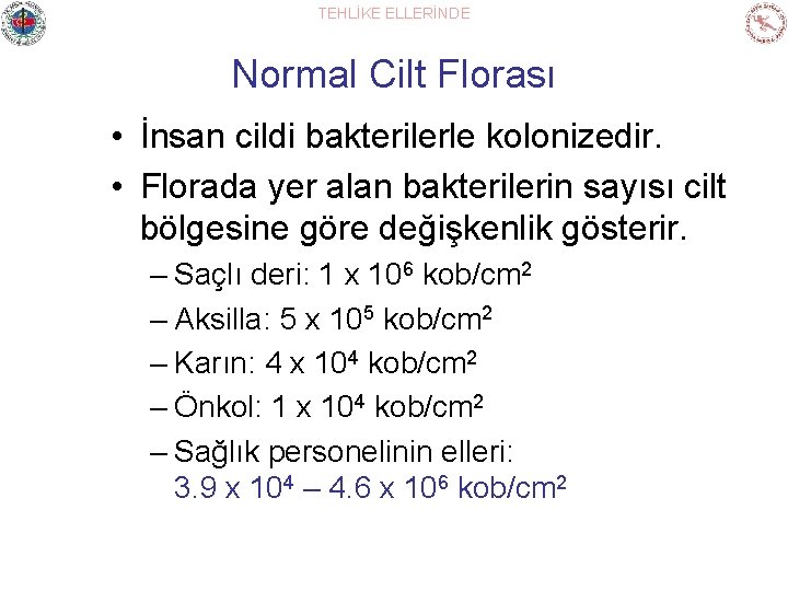 TEHLİKE ELLERİNDE Normal Cilt Florası • İnsan cildi bakterilerle kolonizedir. • Florada yer alan