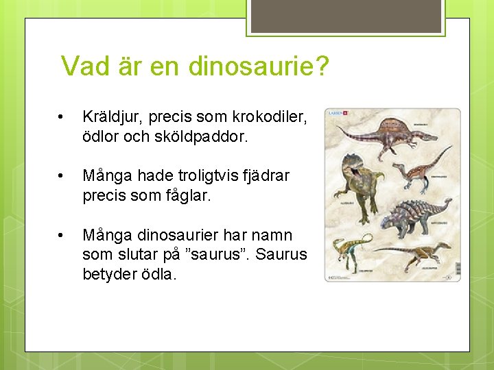 Vad är en dinosaurie? • Kräldjur, precis som krokodiler, ödlor och sköldpaddor. • Många