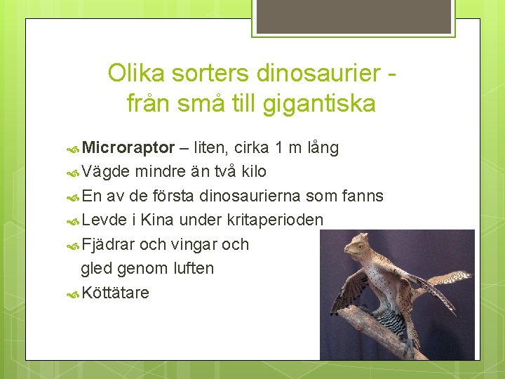 Olika sorters dinosaurier från små till gigantiska Microraptor – liten, cirka 1 m lång