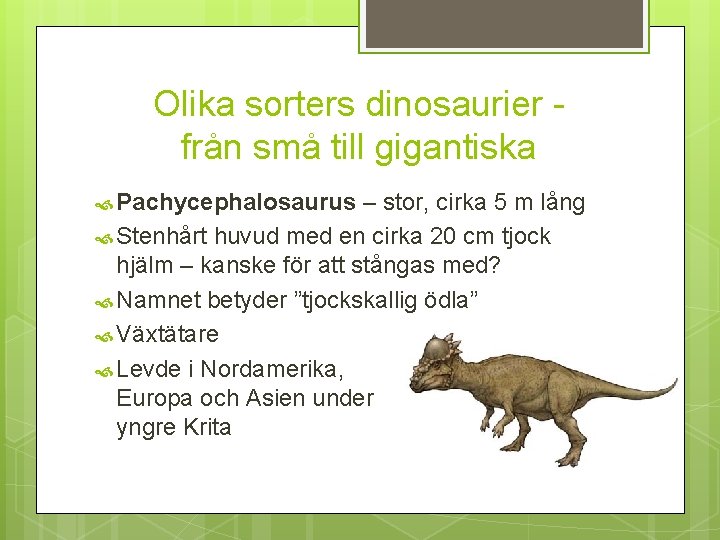 Olika sorters dinosaurier från små till gigantiska Pachycephalosaurus – stor, cirka 5 m lång