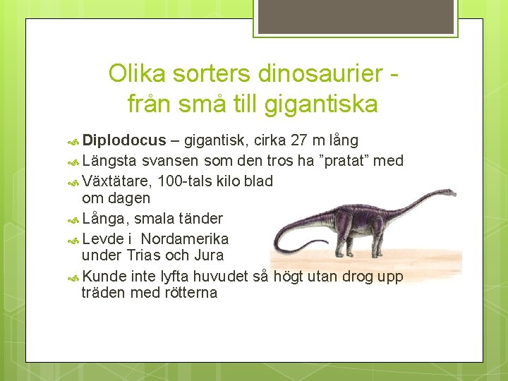 Olika sorters dinosaurier från små till gigantiska Diplodocus – gigantisk, cirka 27 m lång