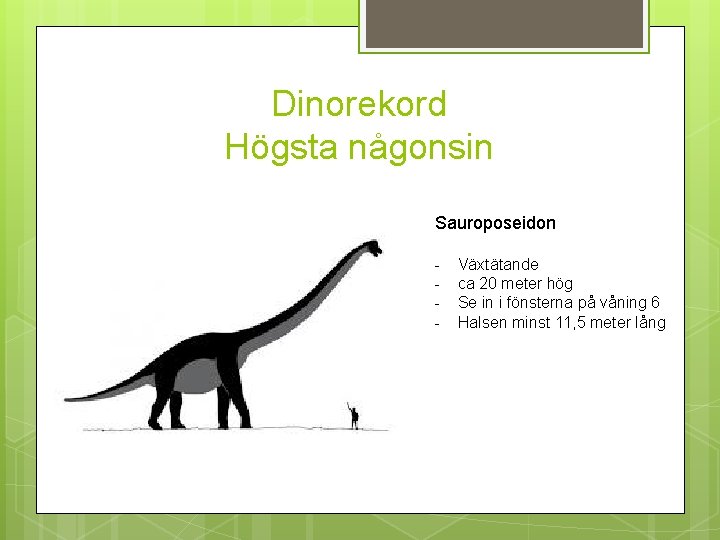 Dinorekord Högsta någonsin Sauroposeidon - Växtätande ca 20 meter hög Se in i fönsterna