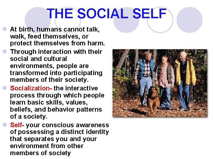 THE SOCIAL SELF l At birth, humans cannot talk, walk, feed themselves, or protect