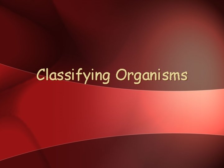 Classifying Organisms 