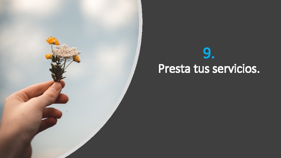 9. Presta tus servicios. 9. Presta tus servicios.